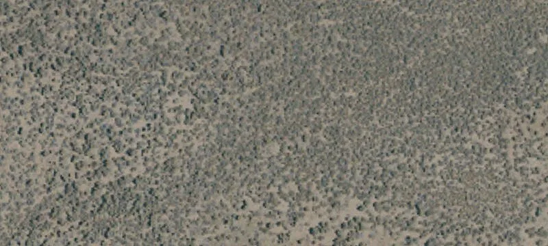 Ravendale, CA 96123