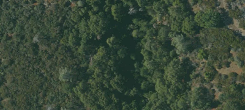 Manton, CA 96059