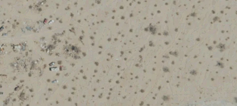 Desert Center, CA 92239