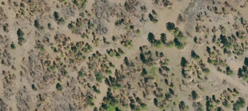 Susanville, CA 96130