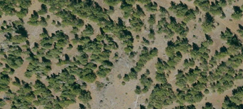 Termo, CA 96132