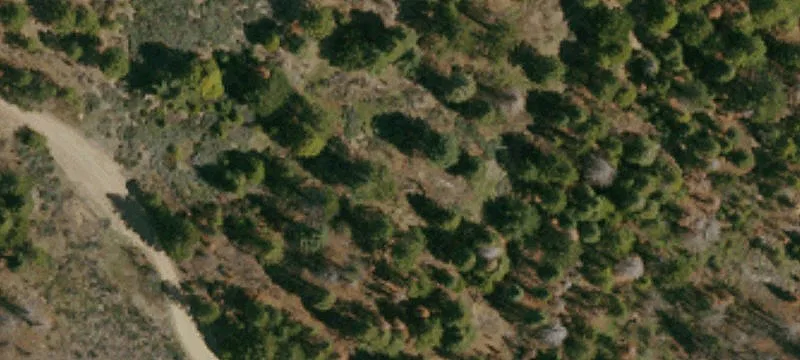 Elk Creek, CA 95939