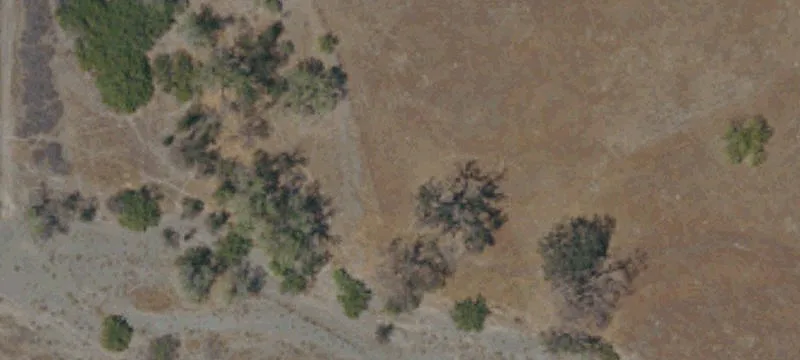 Orland, CA 95963