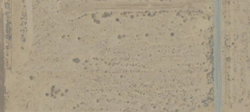 California City, CA 93505