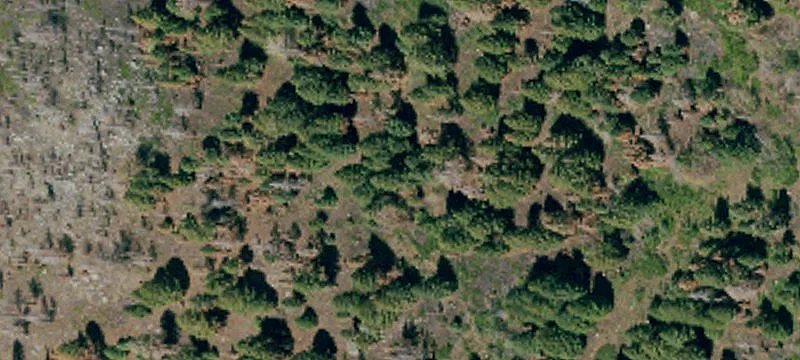 Susanville, CA 96130