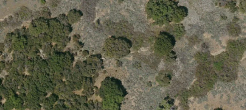 Anza, CA 92539