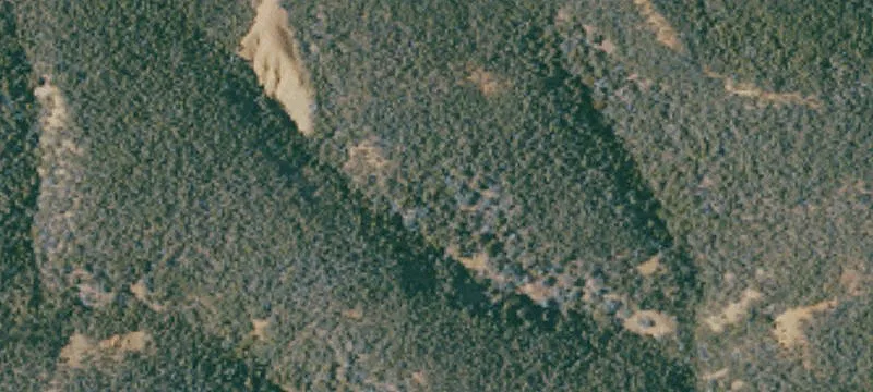 Willows, CA 95988