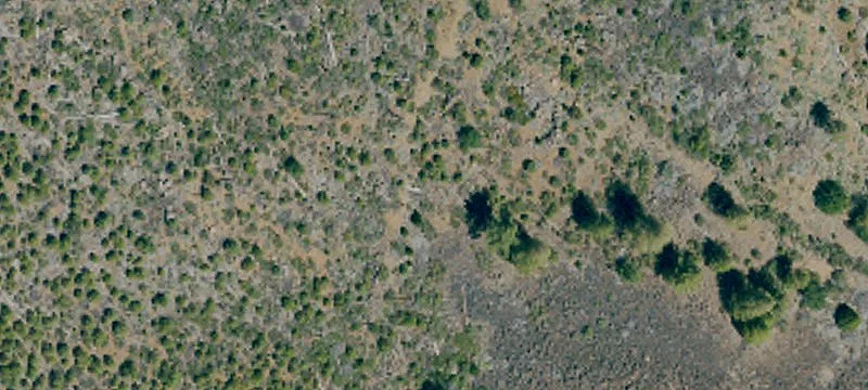 Susanville, CA 96130
