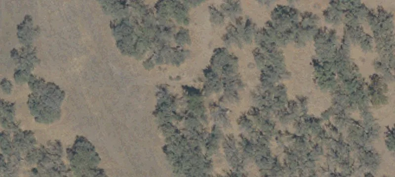 Anderson, CA 96007