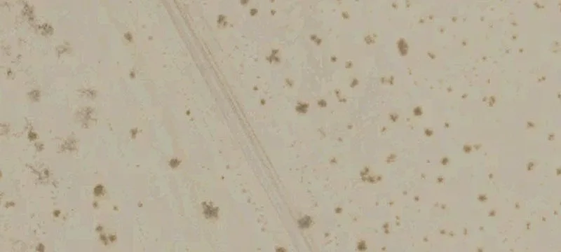 Desert Center, CA 92239