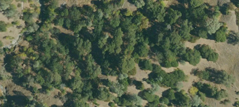Laytonville, CA 95454