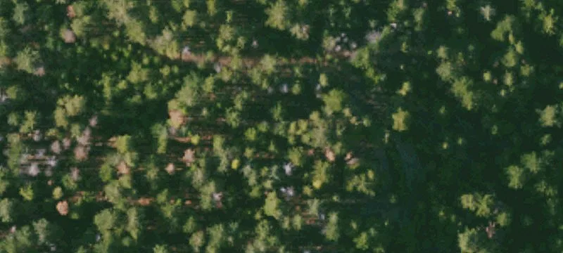 Willows, CA 95988