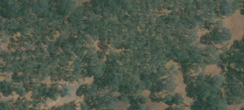 Clayton, CA 94517