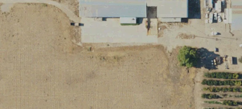 1009 Mccall Ave