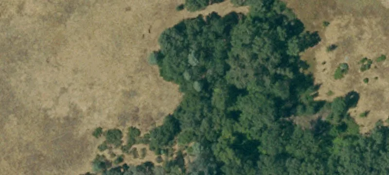 Shingle Springs, CA 95682