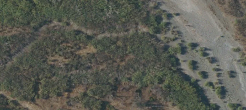 Orland, CA 95963