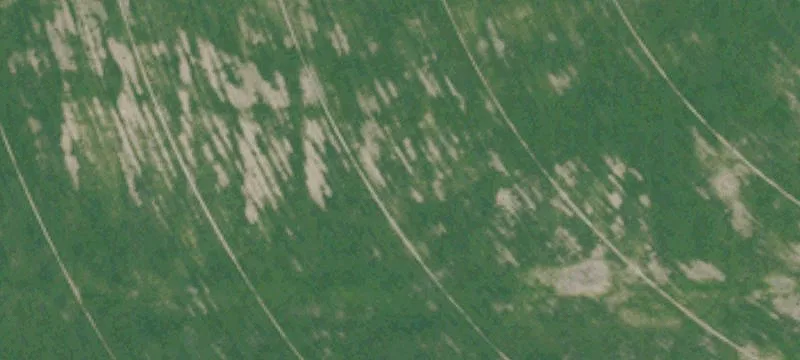 Litchfield, CA 96117