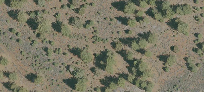Susanville, CA 96130