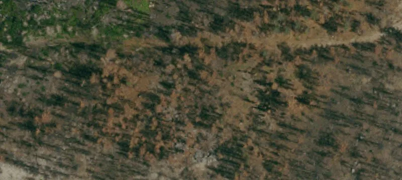 Doyle, CA 96109