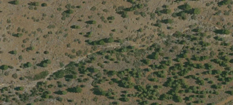 Loyalton, CA 96118