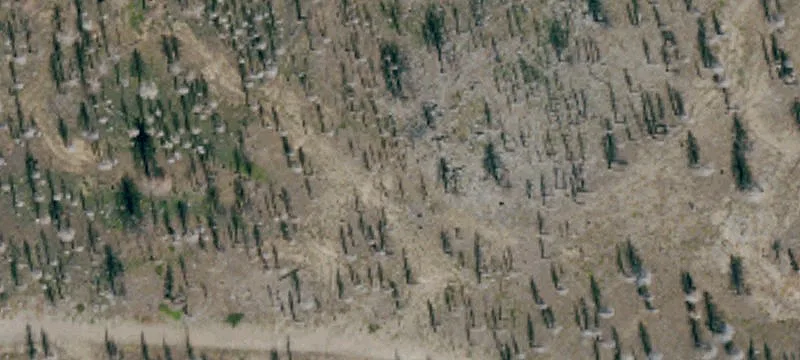 Susanville, CA 96130