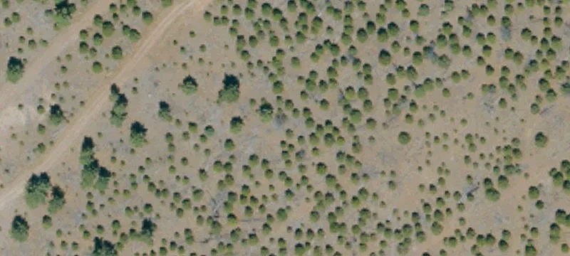 Susanville, CA 96130
