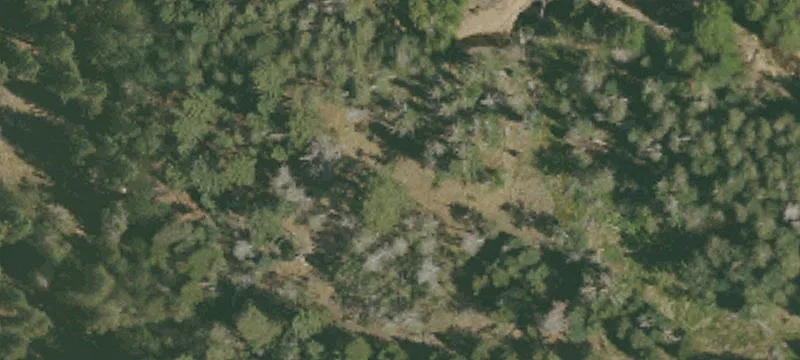 Bridgeport, CA 93517