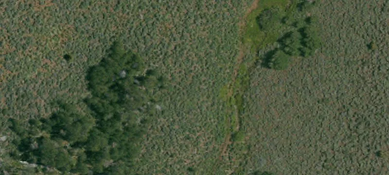 Mcarthur, CA 96056