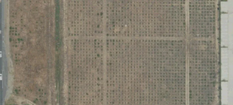 Rancho Cucamonga, CA 91730