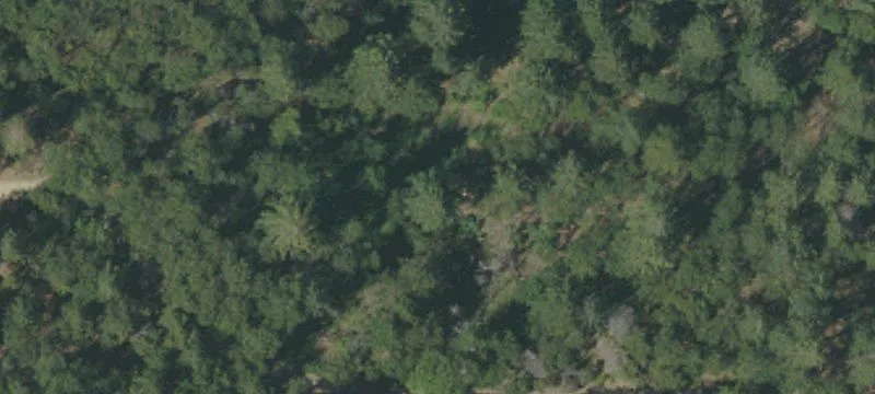 French Gulch, CA 96033