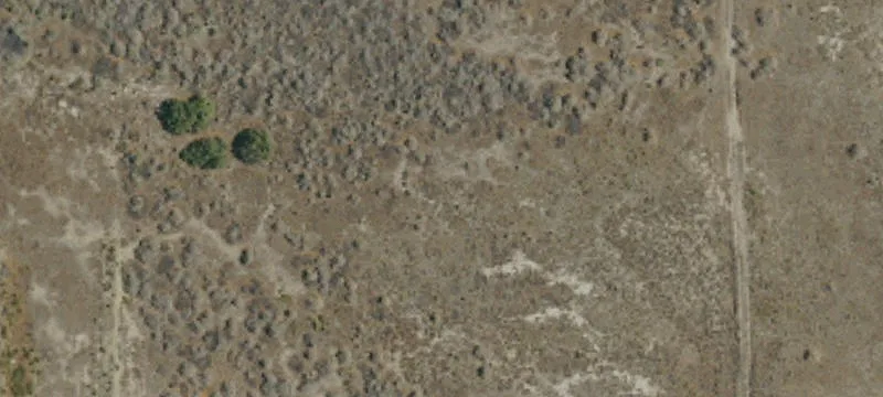 Lost Hills, CA 93249