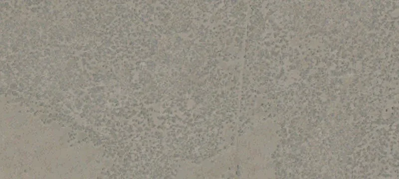 Termo, CA 96132