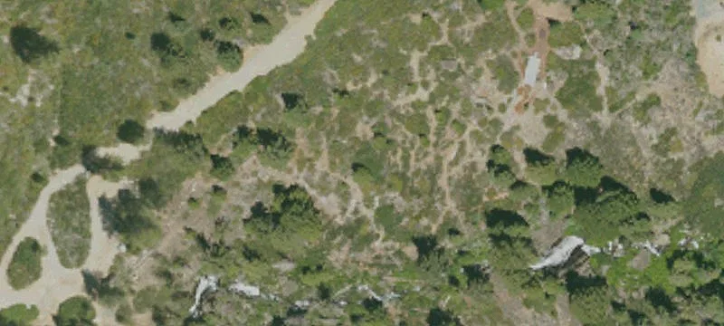Sierra City, CA 96125