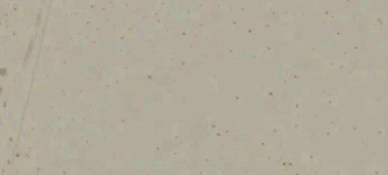 Desert Center, CA 92239