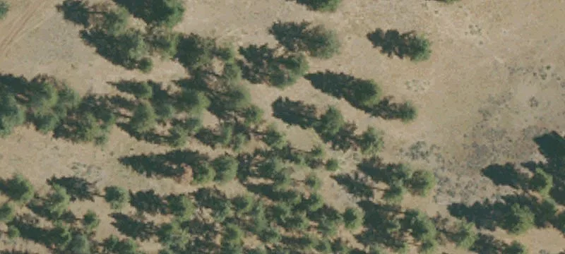 Susanville, CA 96130