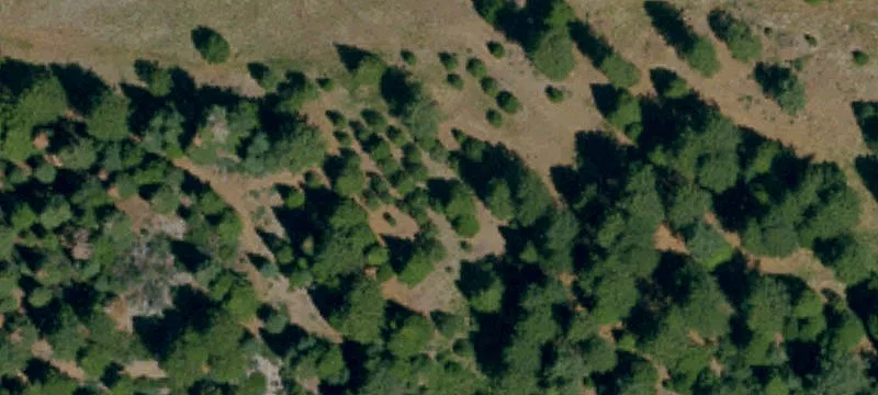 Calpine, CA 96124