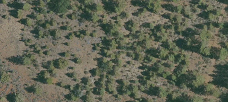 Susanville, CA 96130