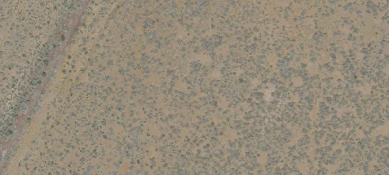 Ravendale, CA 96123