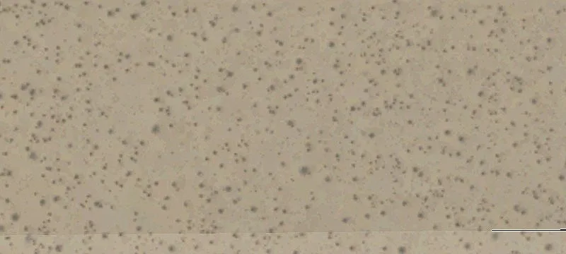 California City, CA 93505