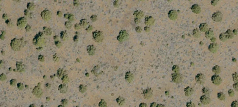 Susanville, CA 96130