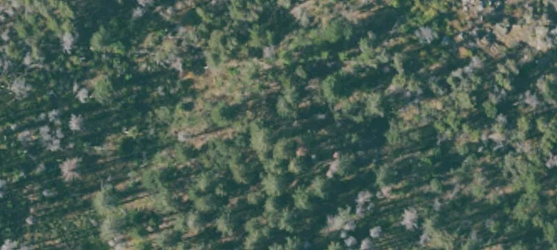 Shasta, CA 96087