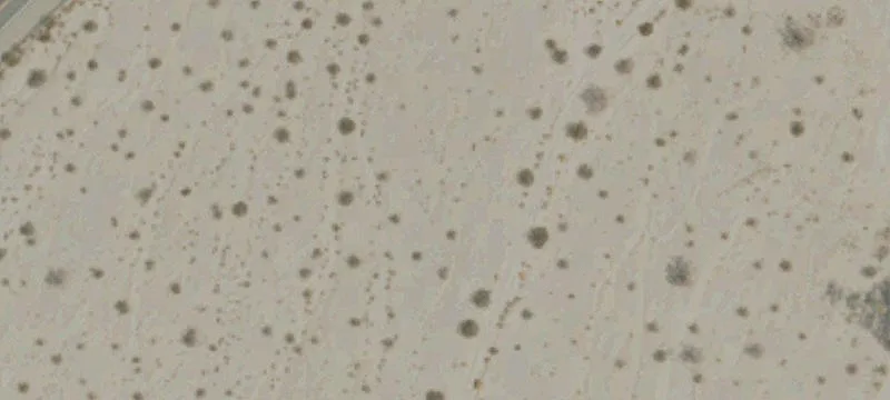 Desert Center, CA 92239