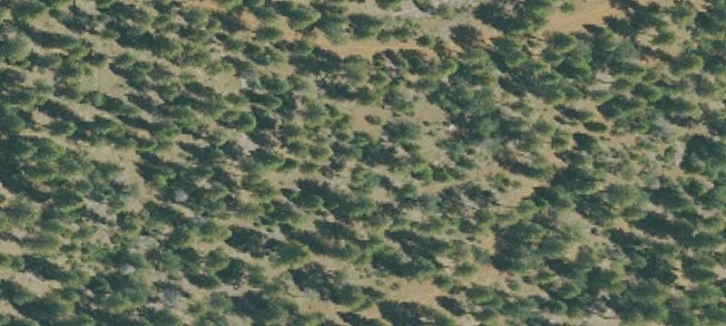 Bieber, CA 96009