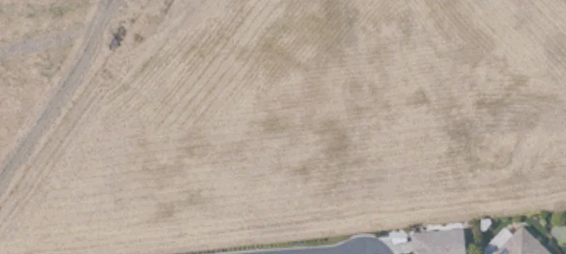 Rio Vista, CA 94571