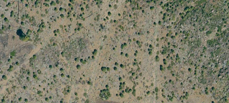 Susanville, CA 96130