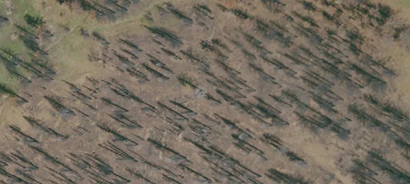 Westwood, CA 96137