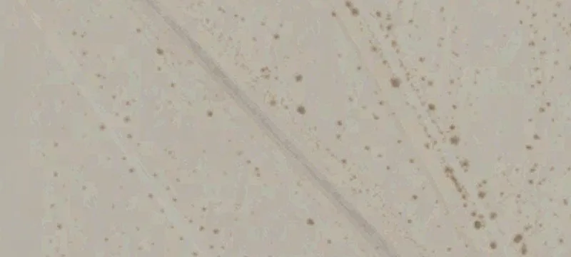 Desert Center, CA 92239