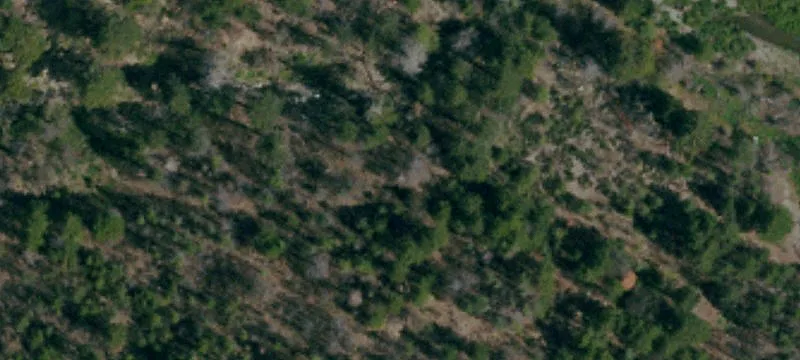 Elk Creek, CA 95939