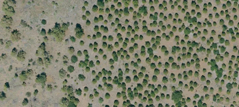Susanville, CA 96130