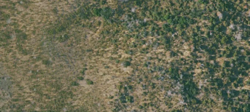 Willows, CA 95988